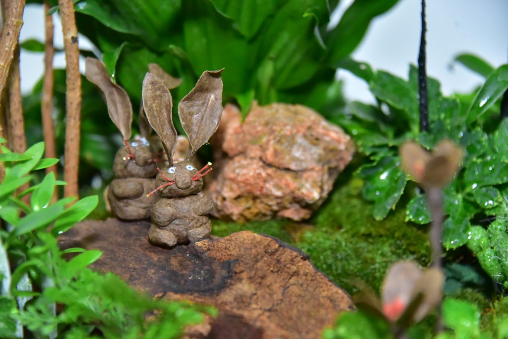 มทร.ธัญบุรี เปิดตัวนวัตกรรม "ปุ๋ยสวยงาม" จากขยะกล่องพัสดุ