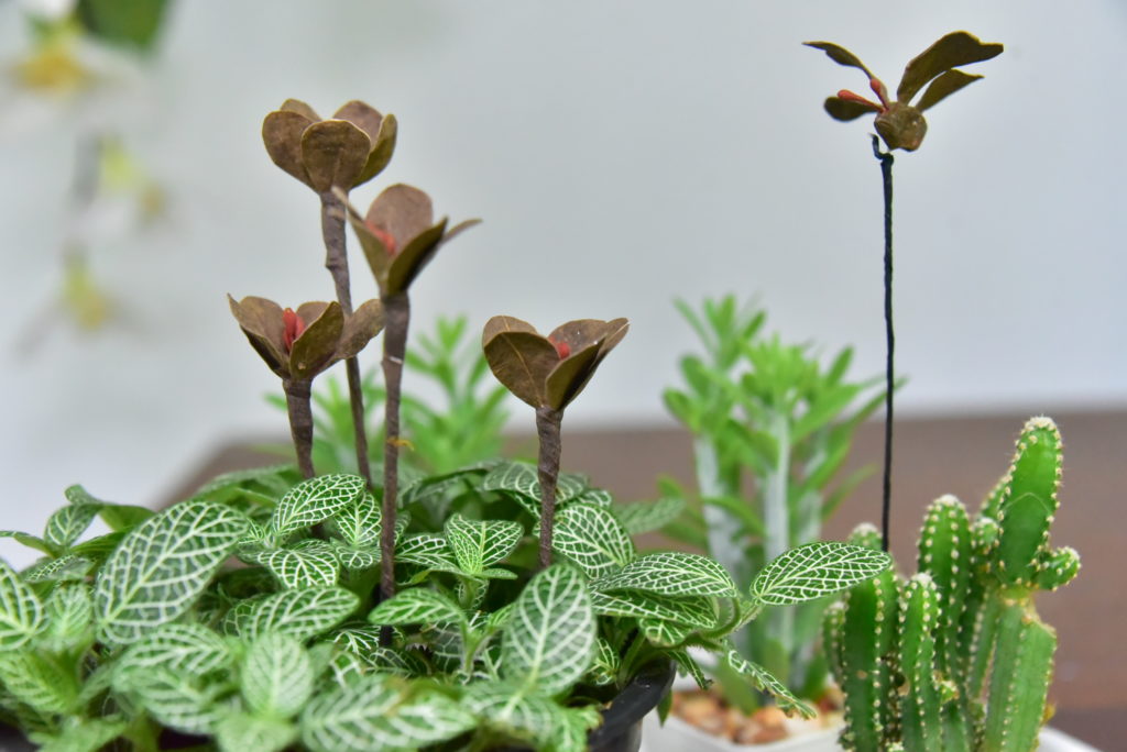 มทร.ธัญบุรี เปิดตัวนวัตกรรม "ปุ๋ยสวยงาม" จากขยะกล่องพัสดุ