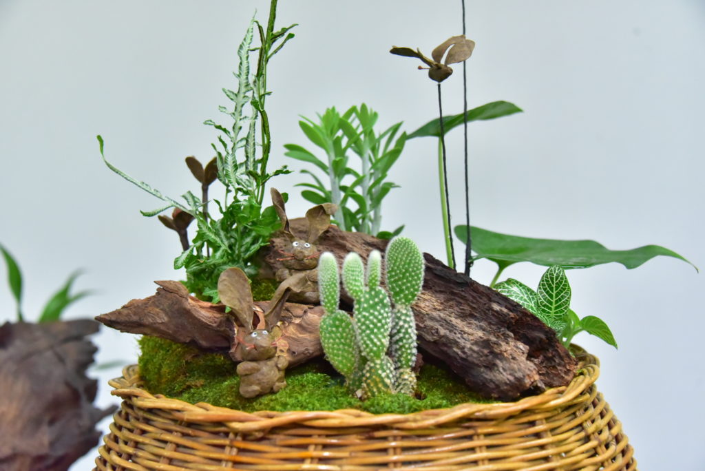 มทร.ธัญบุรี เปิดตัวนวัตกรรม "ปุ๋ยสวยงาม" จากขยะกล่องพัสดุ