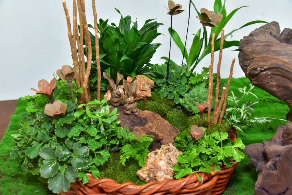 มทร.ธัญบุรี เปิดตัวนวัตกรรม "ปุ๋ยสวยงาม" จากขยะกล่องพัสดุ