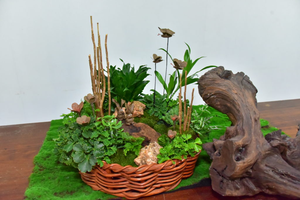 มทร.ธัญบุรี เปิดตัวนวัตกรรม "ปุ๋ยสวยงาม" จากขยะกล่องพัสดุ